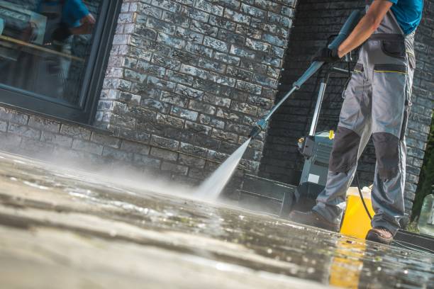 Best Soft Washing for Delicate Surfaces in Nashua, IA