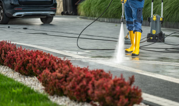 Best Pool Deck Cleaning in Nashua, IA